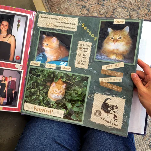 Scrapbook on lap