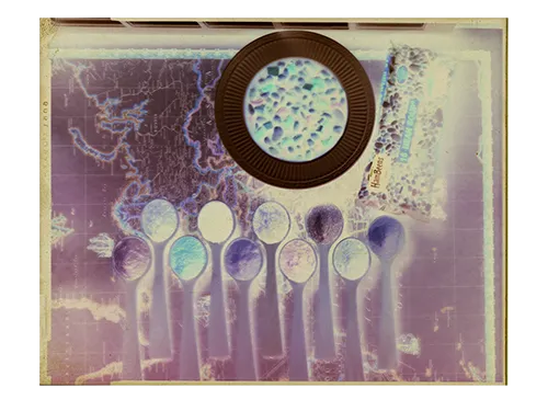 Large Format Negatives