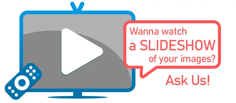 Video Slideshow from Slides